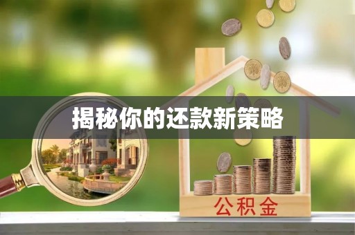 猇亭揭秘你的还款新策略