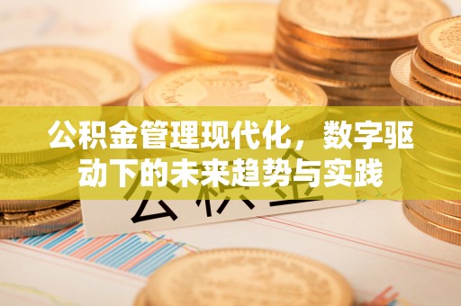 猇亭公积金管理现代化，数字驱动下的未来趋势与实践