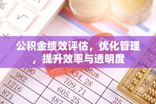 猇亭公积金绩效评估，优化管理，提升效率与透明度