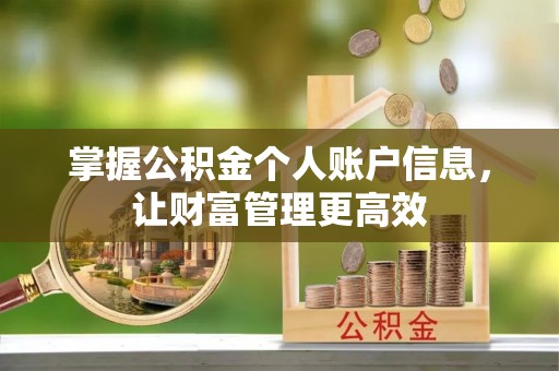 猇亭掌握公积金个人账户信息，让财富管理更高效