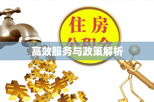 猇亭高效服务与政策解析