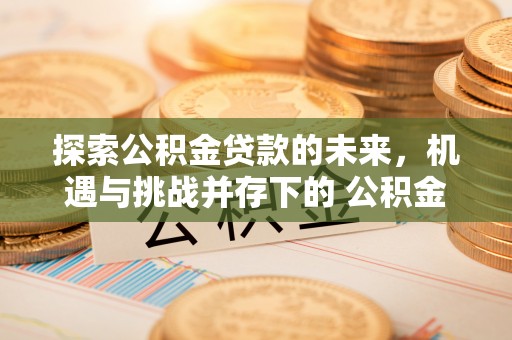 猇亭探索公积金贷款的未来，机遇与挑战并存下的 公积金贷款风险防控