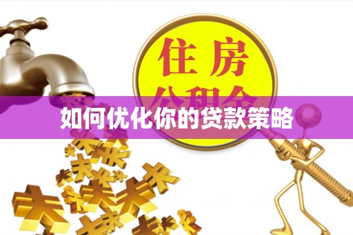 猇亭如何优化你的贷款策略