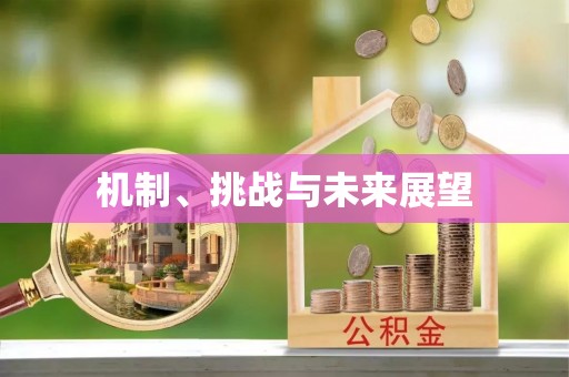 猇亭机制、挑战与未来展望
