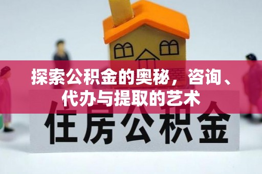 猇亭探索公积金的奥秘，咨询、代办与提取的艺术